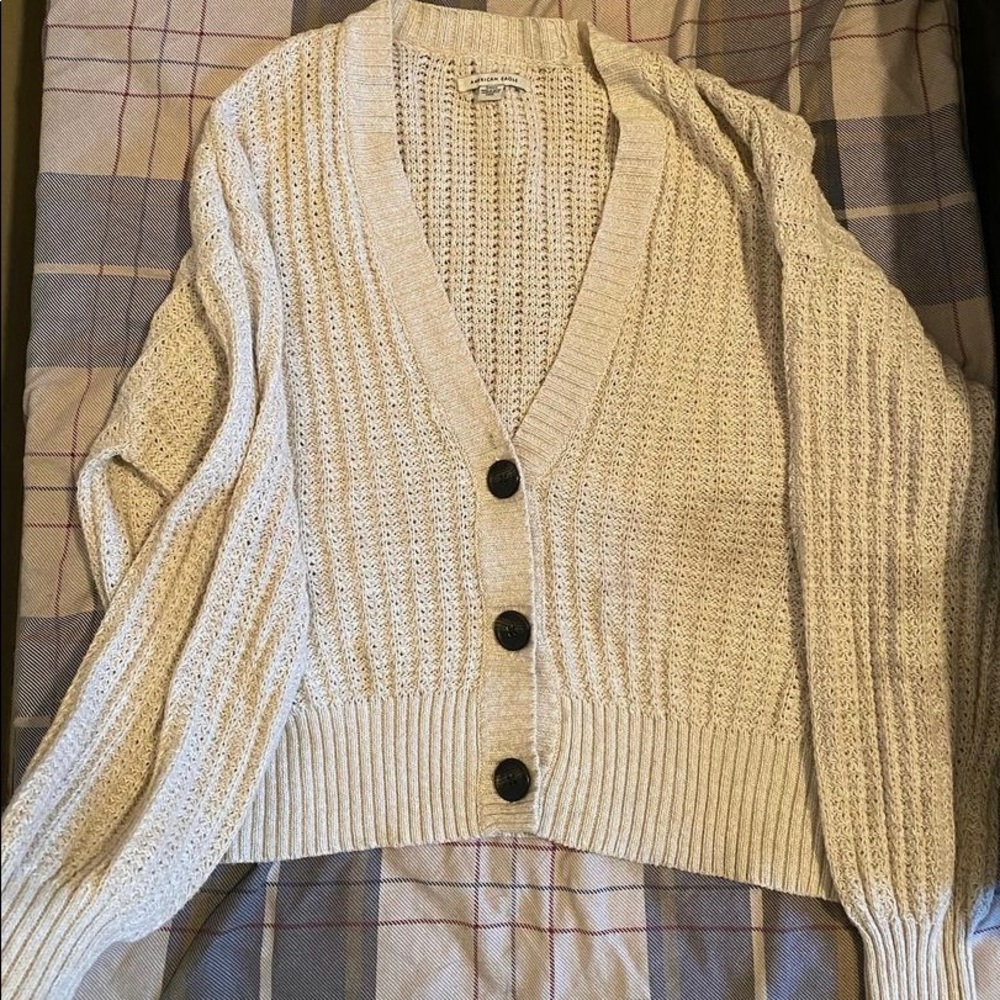 American Eagle Cardigan